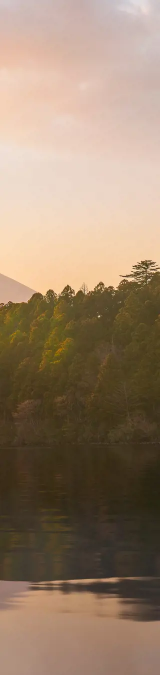 Ein Spaziergang im Mt. Fuji/Hakone Nationalpark